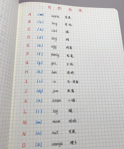 ins怎么读,正确发音技巧,避免常见错误 ins怎么读,正确发音技巧,避免常见错误