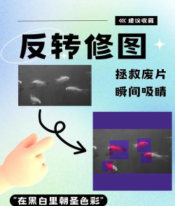 如何翻转视频,轻松调整视频方向,快速解决画面颠倒问题 如何翻转视频,轻松调整视频方向,快速解决画面颠倒问题