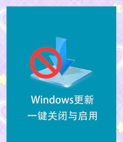 如何更新版本,掌握正确方法,避免常见错误 如何更新版本,掌握正确方法,避免常见错误