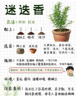 如何种植物,轻松掌握种植技巧,享受园艺乐趣 如何种植物,轻松掌握种植技巧,享受园艺乐趣