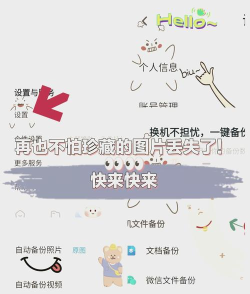 如何备份照片,确保数据安全,掌握实用技巧 如何备份照片,确保数据安全,掌握实用技巧