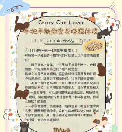 如何驯服猫,建立亲密关系,掌握科学方法 如何驯服猫,建立亲密关系,掌握科学方法