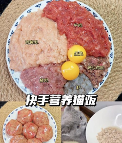 如何做猫粮,自制营养猫饭,猫咪健康饮食指南 如何做猫粮,自制营养猫饭,猫咪健康饮食指南