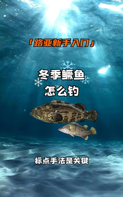 鳜鱼怎么钓,掌握技巧轻松上钩,享受垂钓乐趣 鳜鱼怎么钓,掌握技巧轻松上钩,享受垂钓乐趣