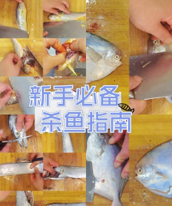 杀鱼,轻松上手,告别腥味烦恼 杀鱼,轻松上手,告别腥味烦恼