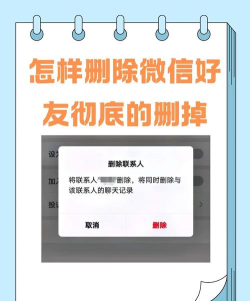 微信好友怎么删除,快速清理好友列表,保护个人隐私安全 微信好友怎么删除,快速清理好友列表,保护个人隐私安全