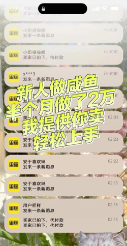 闲鱼怎么赚钱,掌握实用技巧,轻松实现副业增收 闲鱼怎么赚钱,掌握实用技巧,轻松实现副业增收