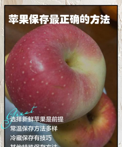 苹果怎么储存,保鲜更长久,口感更香甜 苹果怎么储存,保鲜更长久,口感更香甜
