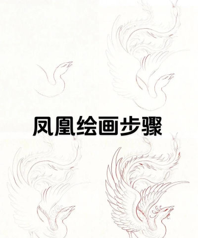 朱雀怎么画,掌握简单步骤,轻松画出神兽风采 朱雀怎么画,掌握简单步骤,轻松画出神兽风采