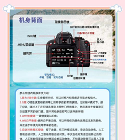 怎么拿相机,正确握持姿势,新手入门技巧 怎么拿相机,正确握持姿势,新手入门技巧