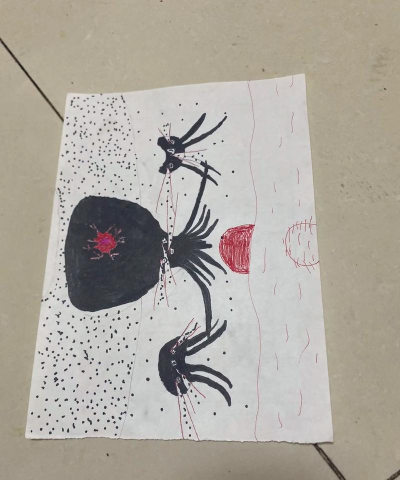 凋零怎么画,简单步骤教学,轻松掌握绘画技巧 凋零怎么画,简单步骤教学,轻松掌握绘画技巧