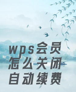 wps会员怎么取消,轻松解决续费烦恼,快速掌握操作步骤 wps会员怎么取消,轻松解决续费烦恼,快速掌握操作步骤