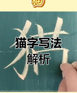 猫的笔顺怎么写,掌握正确书写顺序,轻松写好汉字猫 猫的笔顺怎么写,掌握正确书写顺序,轻松写好汉字猫