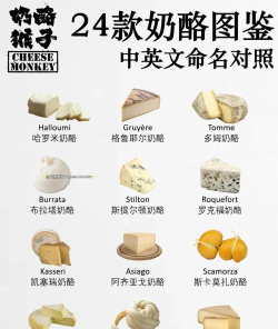 芝士英文怎么说,轻松掌握地道表达,日常交流不再卡壳 芝士英文怎么说,轻松掌握地道表达,日常交流不再卡壳