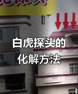 白虎如何化解,掌握风水禁忌,调整家居布局 白虎如何化解,掌握风水禁忌,调整家居布局
