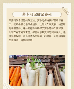 白萝卜如何保存,延长保鲜时间,防止糠心变软 白萝卜如何保存,延长保鲜时间,防止糠心变软