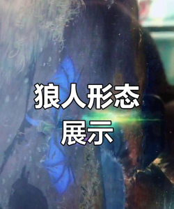 如何变成狼人,探索神秘传说,了解变身条件 如何变成狼人,探索神秘传说,了解变身条件