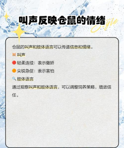 仓鼠的英语怎么读,轻松掌握正确发音,告别中式英语尴尬 仓鼠的英语怎么读,轻松掌握正确发音,告别中式英语尴尬