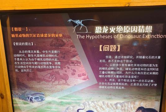它们是怎么来的,探寻起源之谜,揭示背后故事 它们是怎么来的,探寻起源之谜,揭示背后故事