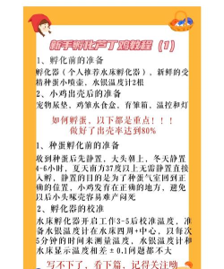 鸡怎么繁殖,掌握繁殖技巧,提高孵化成功率 鸡怎么繁殖,掌握繁殖技巧,提高孵化成功率