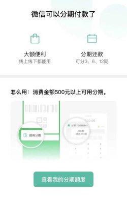 任性付怎么用,开通激活全攻略,消费还款全解析 任性付怎么用,开通激活全攻略,消费还款全解析