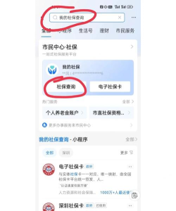 微信怎么查询社保卡,轻松掌握查询步骤,快速获取社保信息 微信怎么查询社保卡,轻松掌握查询步骤,快速获取社保信息