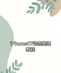 苹果手机怎么更换壁纸,轻松设置个性桌面,掌握动态与静态切换技巧 苹果手机怎么更换壁纸,轻松设置个性桌面,掌握动态与静态切换技巧