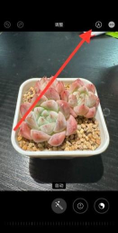 苹果手机怎么涂鸦照片,轻松添加创意涂鸦,让照片更有趣 苹果手机怎么涂鸦照片,轻松添加创意涂鸦,让照片更有趣