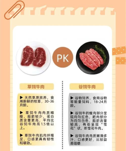 如何喂牛,科学饲养方法,提高养殖效益 如何喂牛,科学饲养方法,提高养殖效益