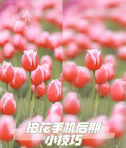 手机照片虚化怎么弄,轻松掌握虚化技巧,拍出专业感照片 手机照片虚化怎么弄,轻松掌握虚化技巧,拍出专业感照片