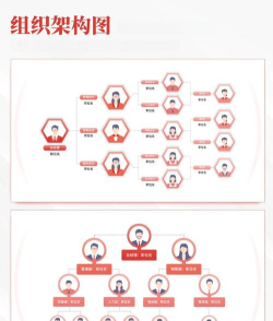 ppt怎么绘制组织结构图 ppt怎么绘制组织结构图