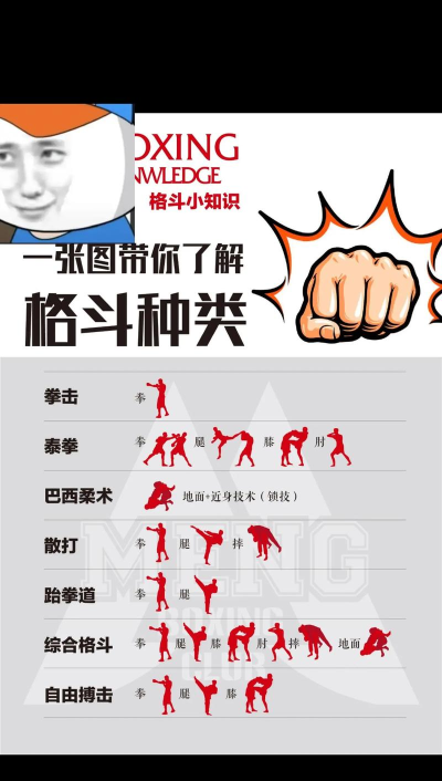 怎么打胖子,掌握实战技巧,提升格斗胜率 怎么打胖子,掌握实战技巧,提升格斗胜率