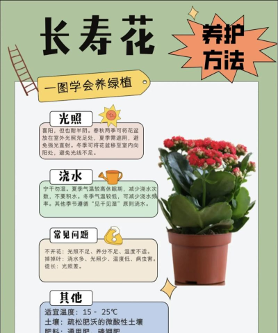 花朵怎么,养护更简单,绽放更长久 花朵怎么,养护更简单,绽放更长久