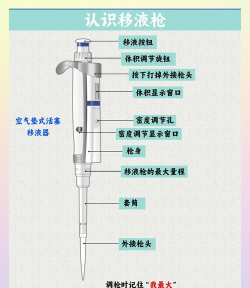 枪怎么用,安全操作指南,新手必看步骤 枪怎么用,安全操作指南,新手必看步骤