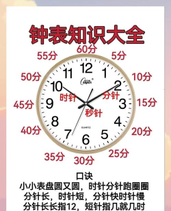 怎么看钟表,轻松掌握时间,快速学会读钟技巧 怎么看钟表,轻松掌握时间,快速学会读钟技巧