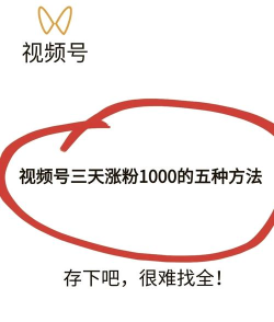 快手上怎么,快速涨粉技巧,轻松玩转短视频 快手上怎么,快速涨粉技巧,轻松玩转短视频