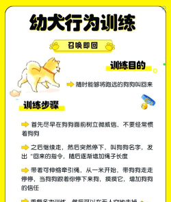 狗圈如何使,正确佩戴方法,训练狗狗技巧 狗圈如何使,正确佩戴方法,训练狗狗技巧
