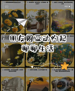 微信说说怎么发,轻松分享生活点滴,掌握社交互动技巧 微信说说怎么发,轻松分享生活点滴,掌握社交互动技巧