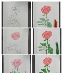 彩铅怎么用,掌握基础技巧,画出惊艳作品 彩铅怎么用,掌握基础技巧,画出惊艳作品