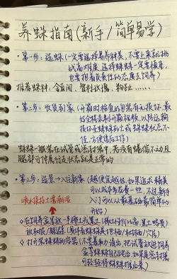 蜘蛛,怎么养,新手入门指南 蜘蛛,怎么养,新手入门指南