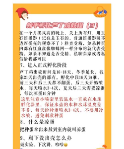 怎么孵蛋,常见问题解答,新手操作指南 怎么孵蛋,常见问题解答,新手操作指南