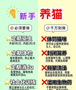 如何繁殖猫,了解基本流程,避免常见误区 如何繁殖猫,了解基本流程,避免常见误区