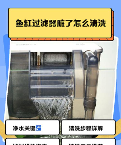 过滤器怎么用,操作步骤详解,新手也能轻松上手 过滤器怎么用,操作步骤详解,新手也能轻松上手