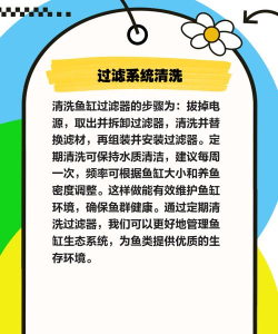 鱼缸怎么刷,清洁步骤详解,轻松保持水质清澈 鱼缸怎么刷,清洁步骤详解,轻松保持水质清澈