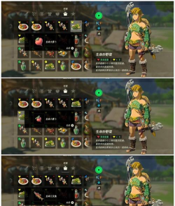 塞尔达如何加心,提升生命上限,掌握关键方法 塞尔达如何加心,提升生命上限,掌握关键方法