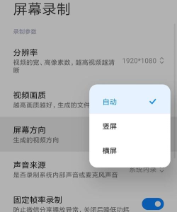 手机怎么屏幕录制,操作步骤详解,常见问题解答 手机怎么屏幕录制,操作步骤详解,常见问题解答
