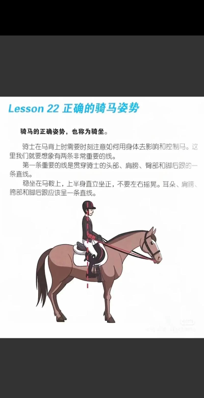 如何套马,掌握关键技巧,安全高效操作 如何套马,掌握关键技巧,安全高效操作