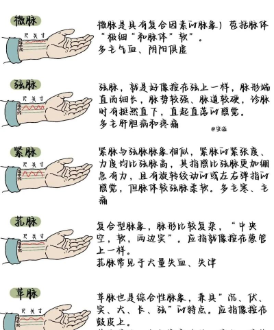 如何打脉,找准位置,掌握技巧 如何打脉,找准位置,掌握技巧