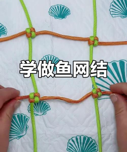 鱼网怎么用,新手入门技巧,常见问题解答 鱼网怎么用,新手入门技巧,常见问题解答