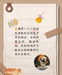 怎么驱赶狗,安全有效,避免冲突 怎么驱赶狗,安全有效,避免冲突